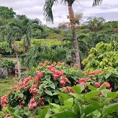 Finca Magdalena Eco Lodge-3